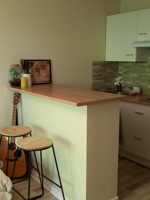 Le Doubs Cosy Apartamento Besançon Exterior foto